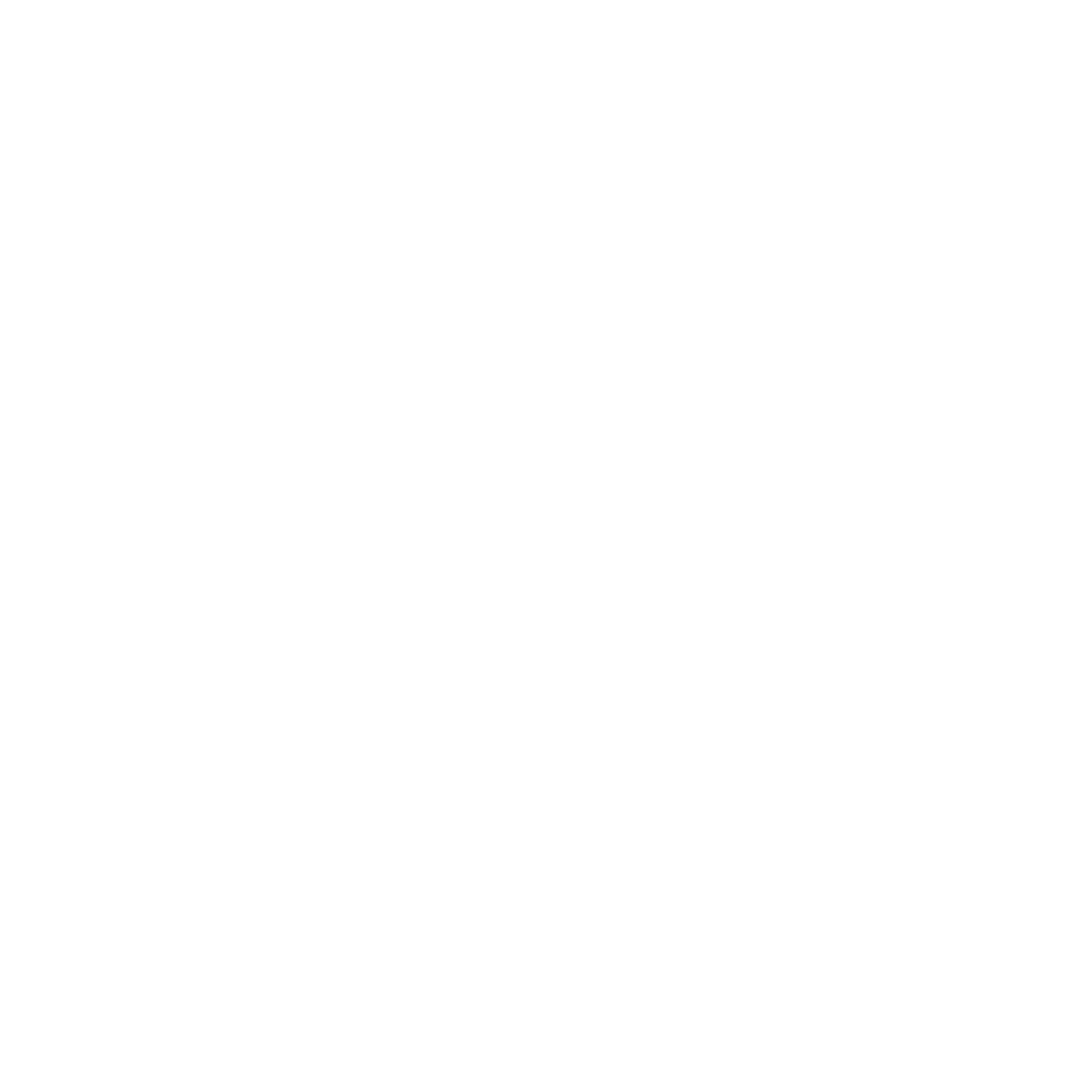 Logo Putih Anisa Mengemudi